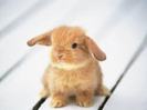 images (12)
