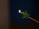 16 Wishes - Official Trailer 036