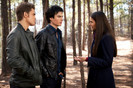 Tvd (17)