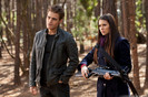 Tvd (21)