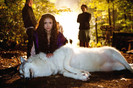Tvd (29)