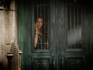 Tvd (24)