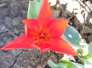 DSCN2294