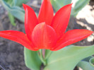 DSCN2295