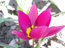 DSCN2297