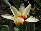 DSCN2300