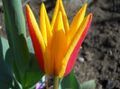 DSCN2301