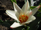 DSCN2307