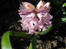 DSCN2311