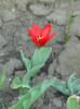 DSCN2326