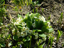 DSCN2176