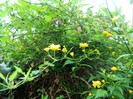 DSCN2191