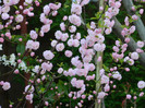 DSCN2195