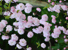 DSCN2197