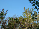DSCN2199