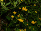 DSCN2212