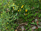 DSCN2214