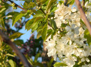 DSCN2227