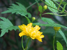 DSCN2244