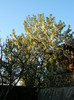 DSCN2248