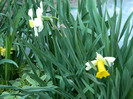 DSCN2251
