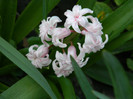 DSCN2256