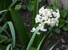DSCN2257
