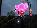DSC01774