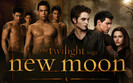 BEST MOVIE: The Twilight Saga: New Moon