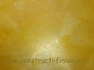 Zugraveala decorativa lucioasa 1