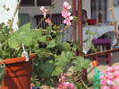 DSC00250