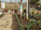 DSC00254