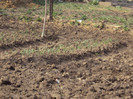 DSC00267