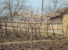 DSC00268