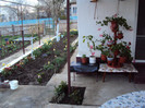 DSC00273