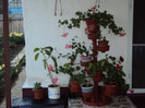DSC00274