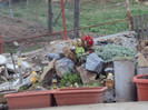 DSC00289