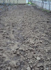 DSC00292