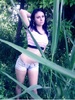 Dracoasa