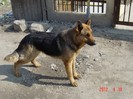 DSC00347-575x431