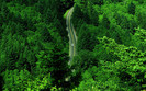 00417_arideinwoods_1920x1200