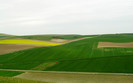 00432_fieldsspring_1920x1200