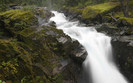 00576_greenfall_1920x1200