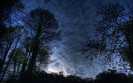 01306_bluemorning_2560x1600