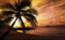 01458_sunsetatthebay_2560x1600
