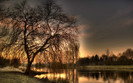 01460_sundaymorningii_2560x1600