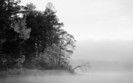 01468_harrislakebw_1920x1200