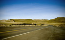 01472_acrossingway_1920x1200