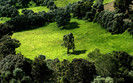 01490_deepgreen_1920x1200