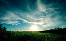 01537_grassysunset_2560x1600